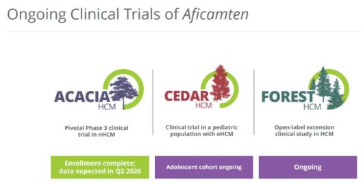 현재 진행중인 아피캄텐 임상시험들 [자료= 사이토키네틱스 홈페이지]
