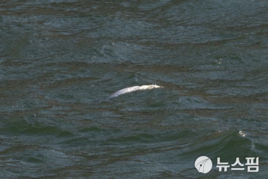 2026.01.07 ryuchan0925@newspim.com