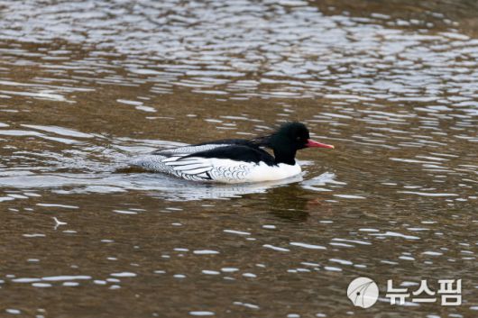 2026.01.07 ryuchan0925@newspim.com