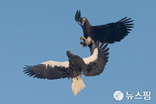 2026.01.07 ryuchan0925@newspim.com