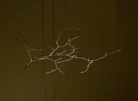 [서울=뉴스핌]이영란 미술전문기자=다니엘 스티그만 만그라네, '기하학적 자연'. 사진 김상태 © 에르메스 재단 제공 2025.12.27 art29@newspim.com