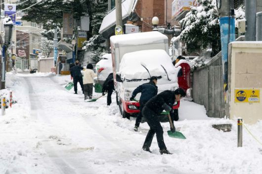 대설특보가 발효되면서 22일까지 10~30cm의 폭설이 올 것으로 예고된 가운데 울릉군이 제설에 사투를 벌이고 있다.[사진=울릉군] 2026.01.21 nulcheon@newspim.com