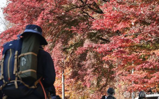 [서울=뉴스핌] 양윤모 기자 = 휴일인 16일 서울 북한산국립공원을 찾은 시민들이 아쉬운 가을의 끝자락에 붉게 피어난 단풍을 즐기고 있다. 2025.11.16  yym58@newspim.com