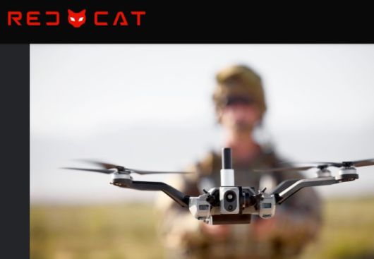 레드 캣 홀딩스 로고 [사진=업체 홈페이지 갈무리]