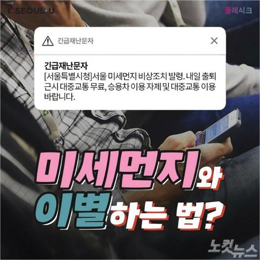 노컷뉴스