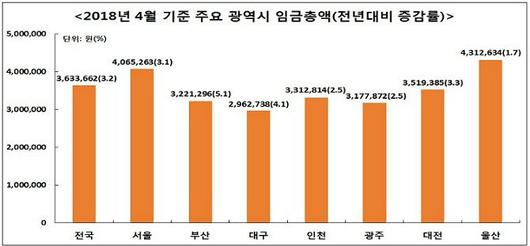 노컷뉴스