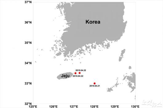 노컷뉴스