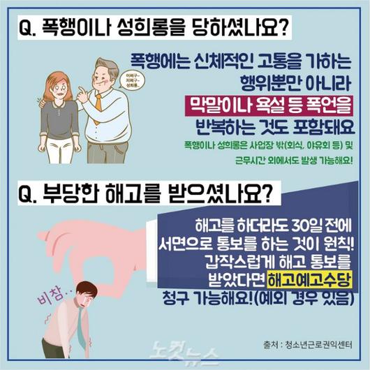 노컷뉴스