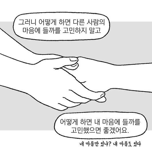 노컷뉴스