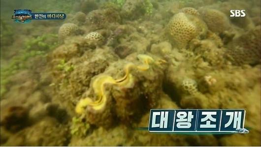 노컷뉴스