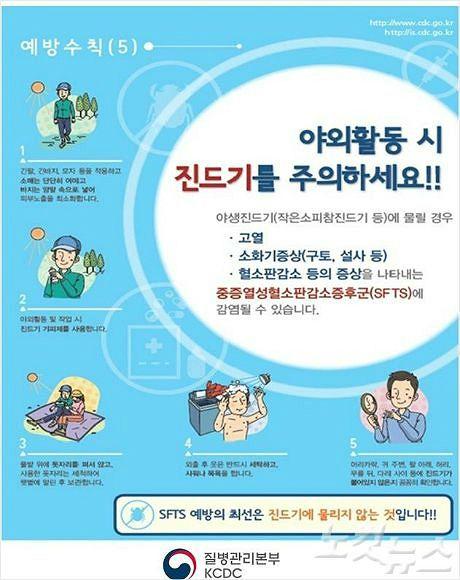 노컷뉴스