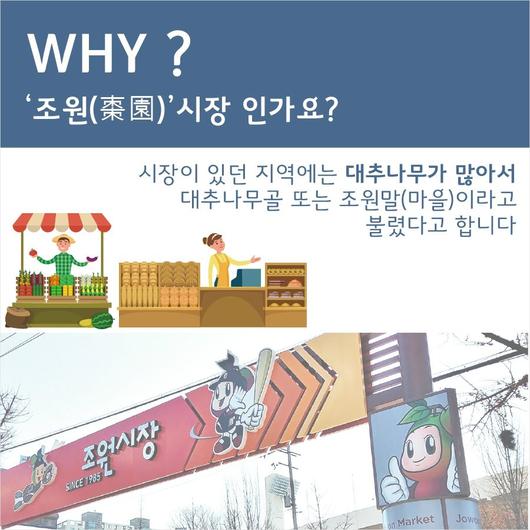 노컷뉴스