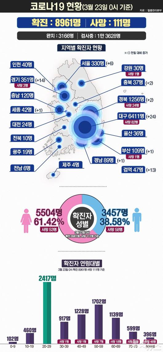 노컷뉴스