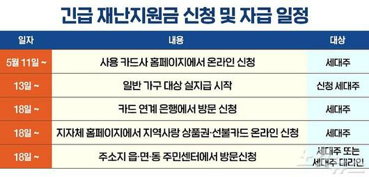 노컷뉴스