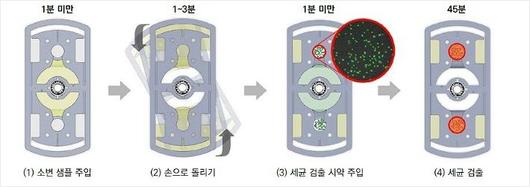 노컷뉴스