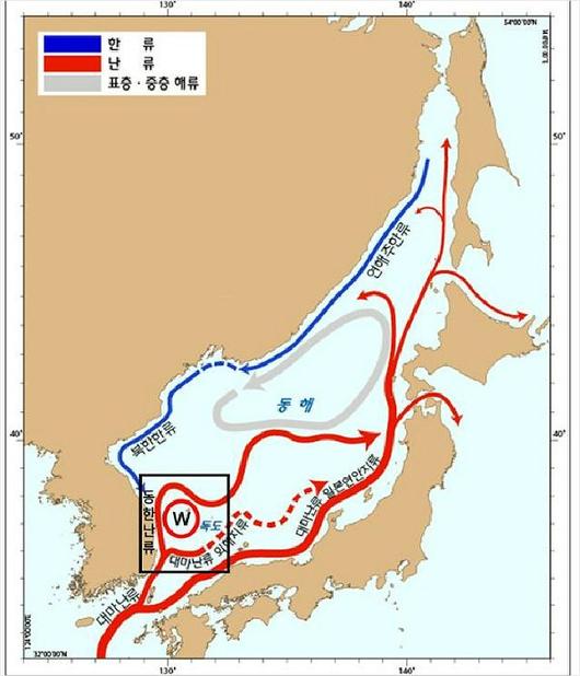 노컷뉴스