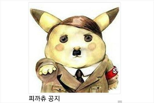 노컷뉴스