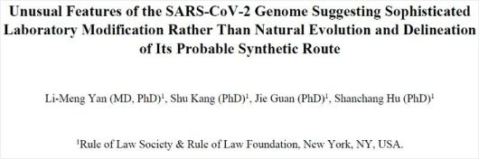 옌리멍 박사와 연구진이 발표한 논문.(사진=Zenodo 홈페이지 캡처)