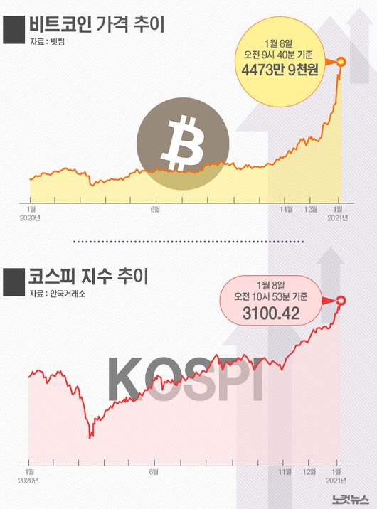 노컷뉴스