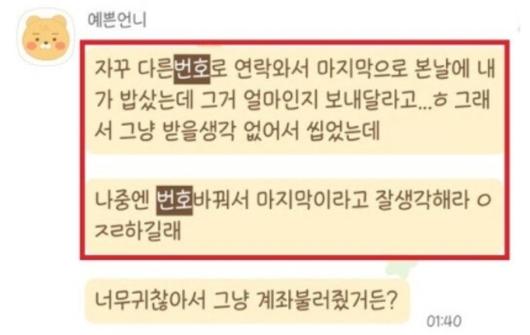 노컷뉴스