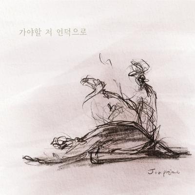 노컷뉴스