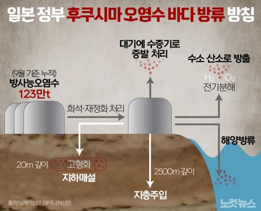 노컷뉴스