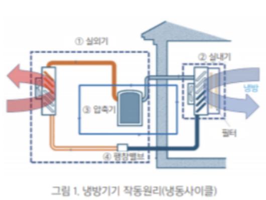 노컷뉴스