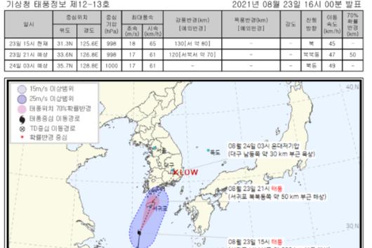 노컷뉴스