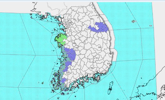 노컷뉴스