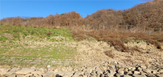 임진강에 바이오폴리머를 적용해 제방을 축조한 곳과 바로옆에 기존 제방의 모습 비교. 바이오폴리머 제방에서 식물이 잘 자라고 있다. 건설기술연구원 제공