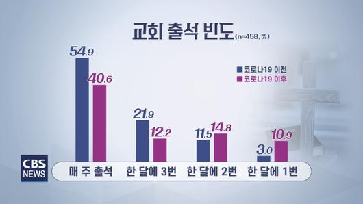 노컷뉴스