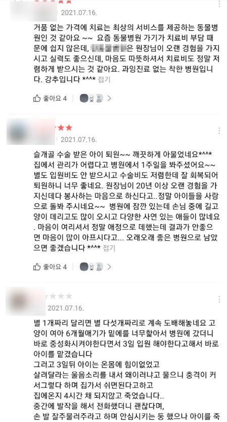 노컷뉴스