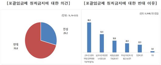 노컷뉴스