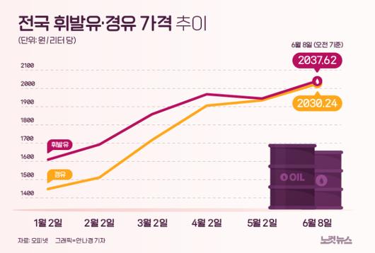 노컷뉴스