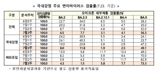 노컷뉴스