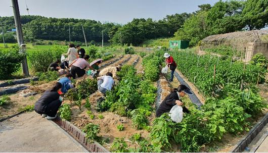 노컷뉴스