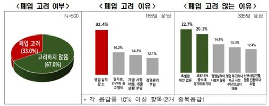 노컷뉴스