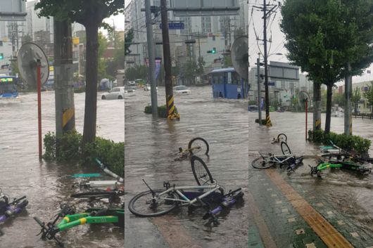 온라인 커뮤니티 캡처