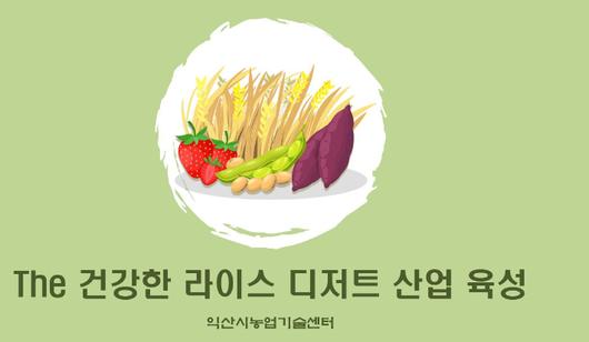 노컷뉴스