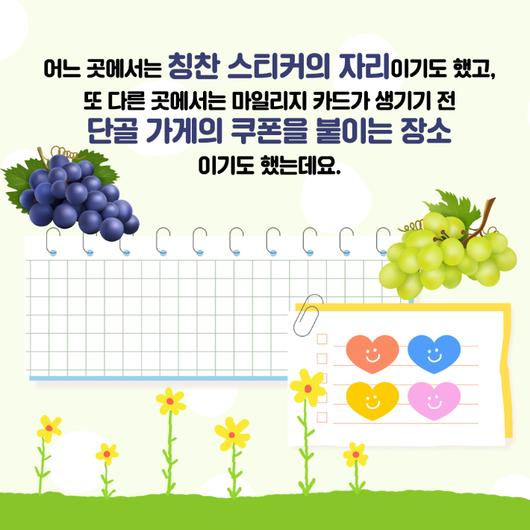 노컷뉴스