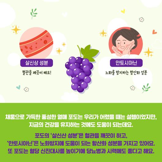 노컷뉴스