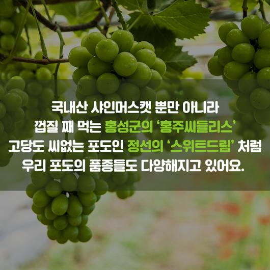 노컷뉴스