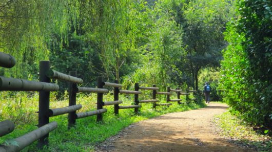 가을에 걷기 좋은 길. 김윤희 해설사 제공