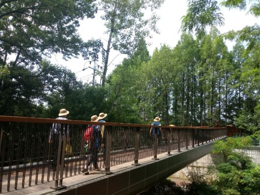 구름다리. 김윤희 해설사 제공