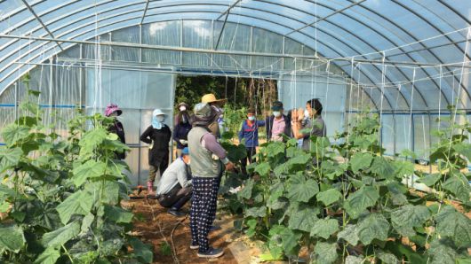 전라남도 귀농귀촌 사업 참여자들이 비닐하우스에서 관계자의 설명을 듣고 있다. 전남도 제공
