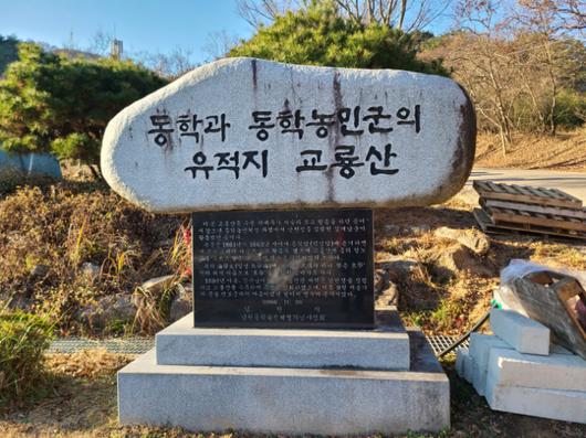 노컷뉴스