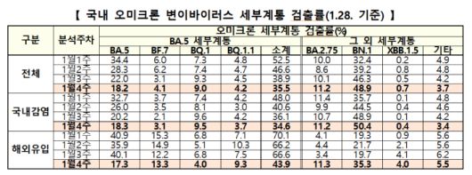 노컷뉴스