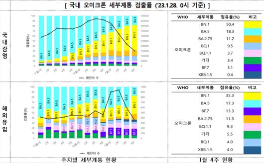 노컷뉴스