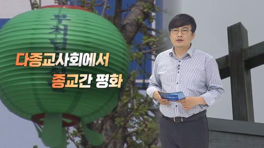 노컷뉴스