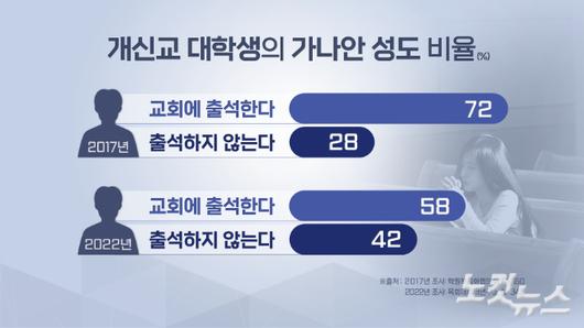 노컷뉴스